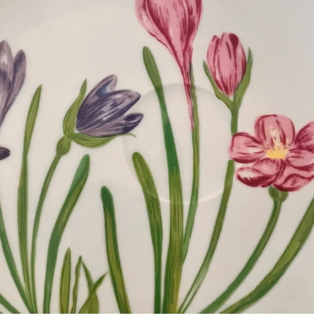 Vintage Crocus Flowers Snack Plates & Cups‎ Set Of 4 (8 PCs) - Japan Sigma Mint